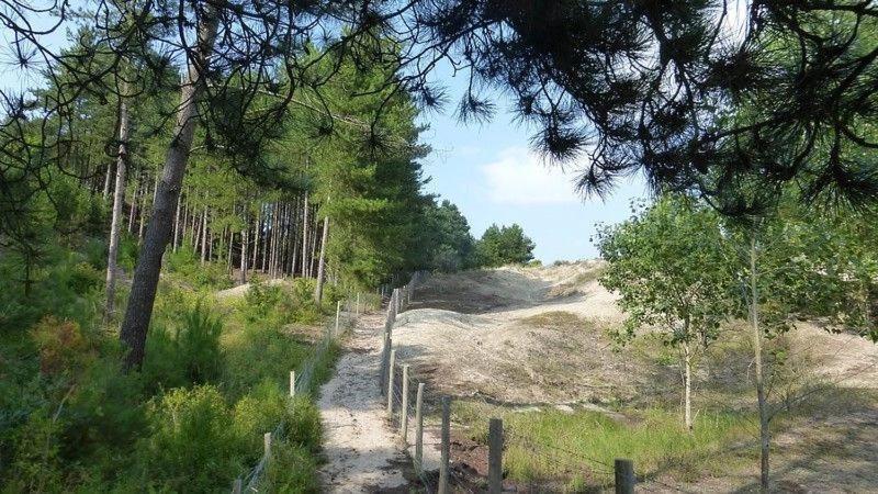 Hamac - Vue Mer - 100M Plage Berck Luaran gambar