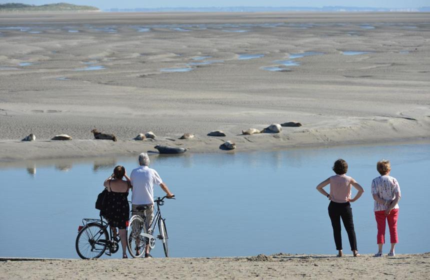 Hamac - Vue Mer - 100M Plage Berck Luaran gambar